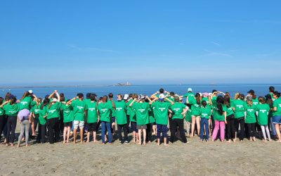 Voyage Baie de Somme – 6ème