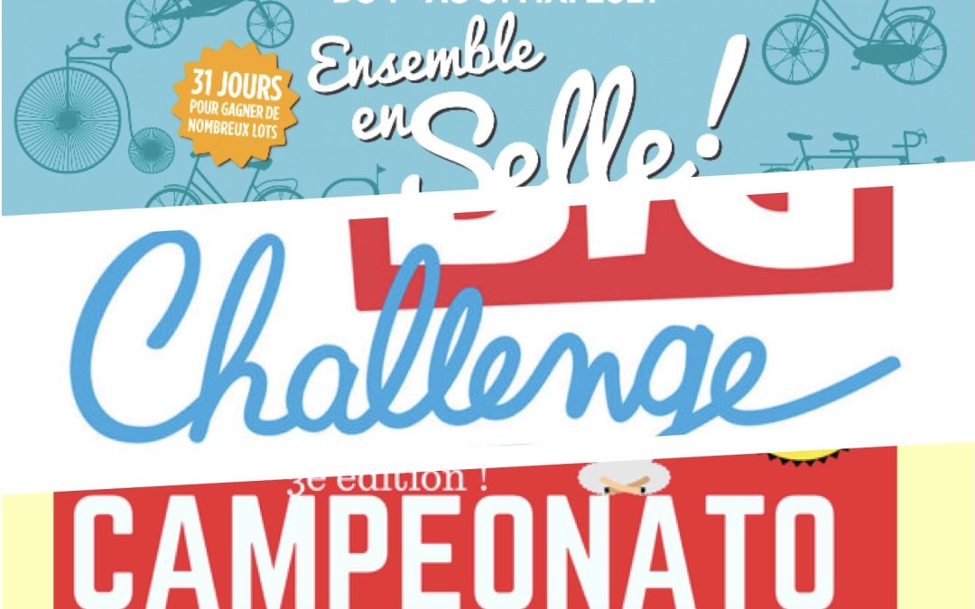Remise des récompenses