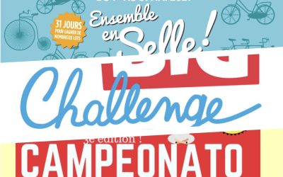 Remise des récompenses