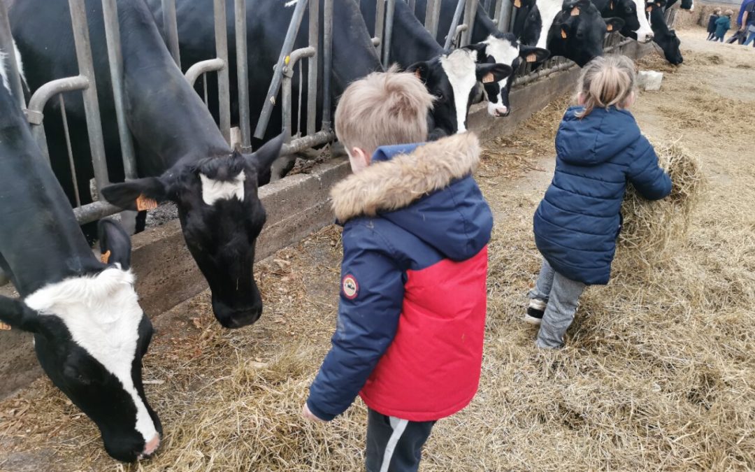 Sortie à la ferme pour toutes les maternelles