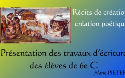 Projet 6ème : Quel animal choisis-tu de sauver?